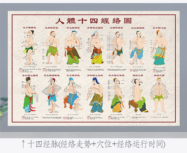 中医养生人体经络穴位图大挂图全身高清穴位推拿按摩针灸用海报 经络