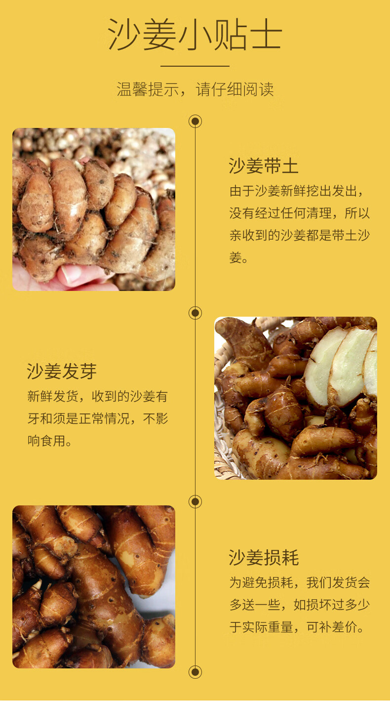 文昌馆海蓝厨房海南新鲜沙姜山奈250g厨房调味料白切鸡椰子鸡煲汤