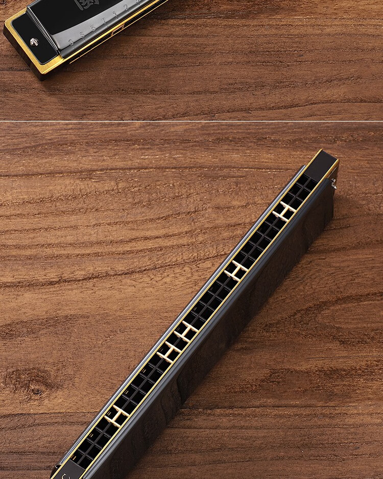 上海国光口琴24孔复音重音c调专业演奏级初学者学生儿童成人高级入门