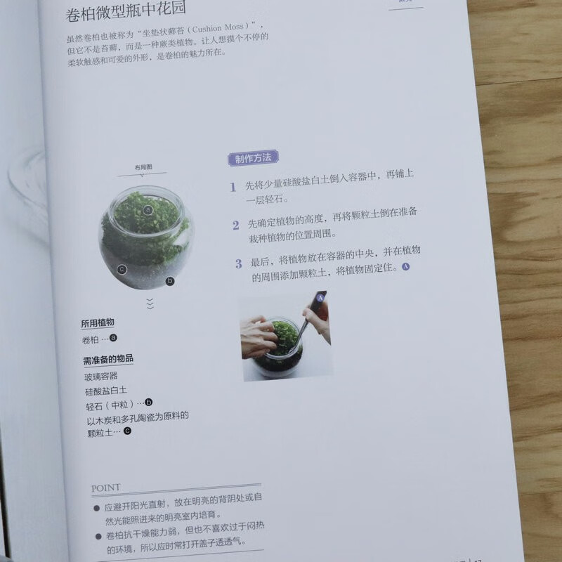 玩转空气凤梨绿植这么养就对了植物生活家打造你的室内花园用苔藓 空气凤梨 多肉植物制作 微型瓶中花园 摘要书评试读 京东图书