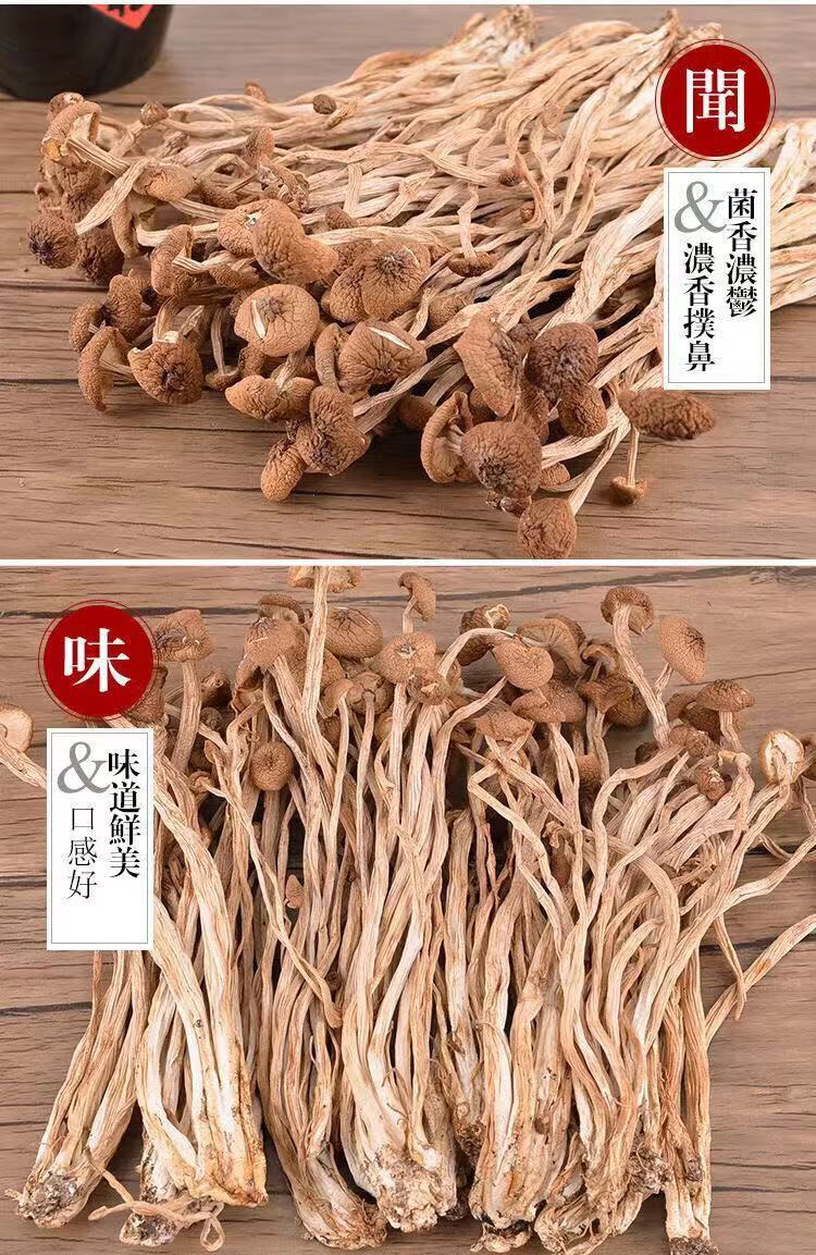 茶樹菇乾貨茶樹菇乾貨野生茶樹菇煲湯菇農低價直銷250克 一級不開傘