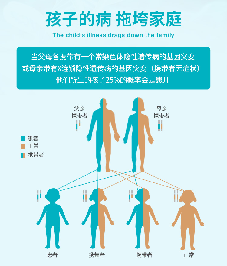生物信息分析