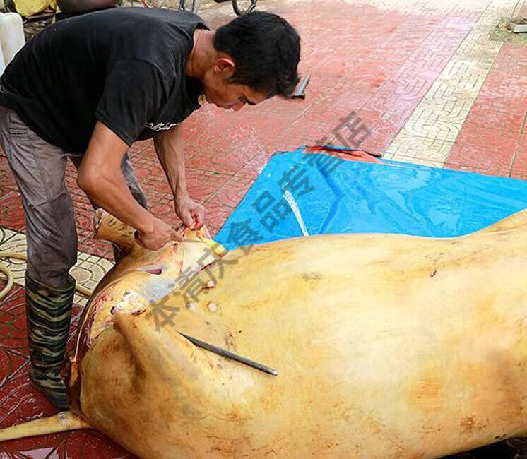 火锅汤 贵州特产 黔东南美食榕江从江黎平 2斤百草汤 牛瘪 2斤原味瘪