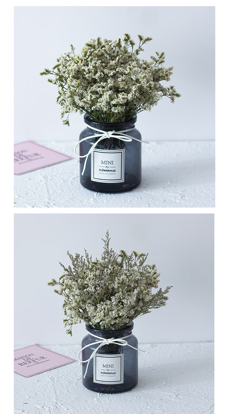 紫色勿忘我 情人草 带花瓶