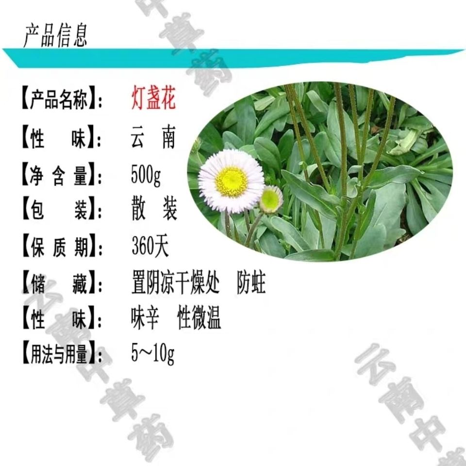 云南中药材灯盏花灯盏细辛100克250克500g250克