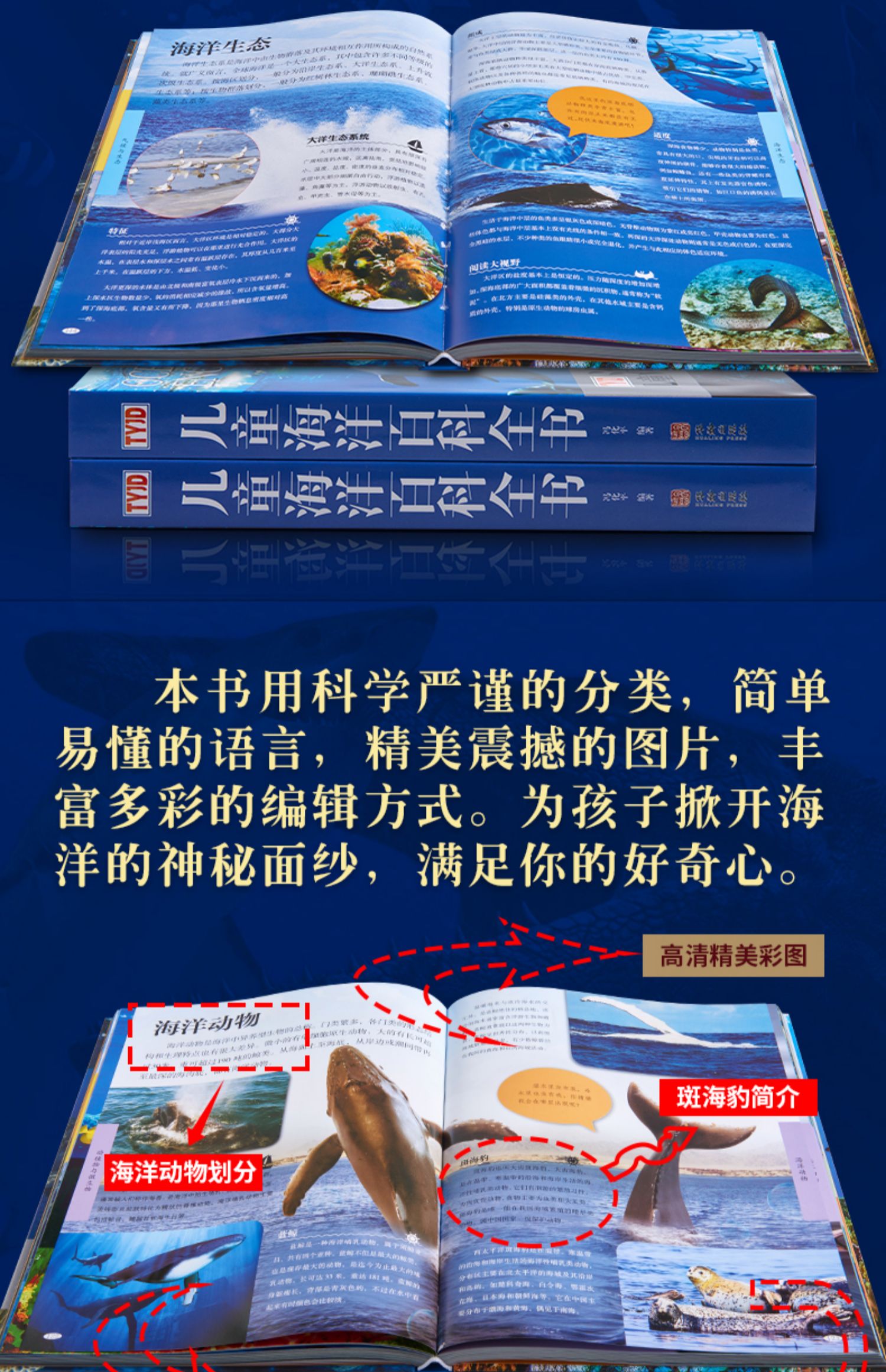 儿童海洋百科全书海洋大百科书籍青少年儿童版 dk探秘揭秘海洋动物