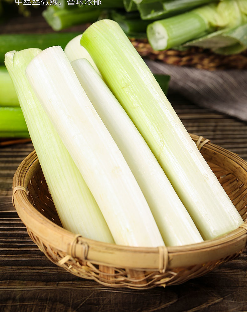 新鲜山东大葱大葱菜新鲜蔬菜葱批发价 10斤章丘大葱批发毛葱青菜 带箱