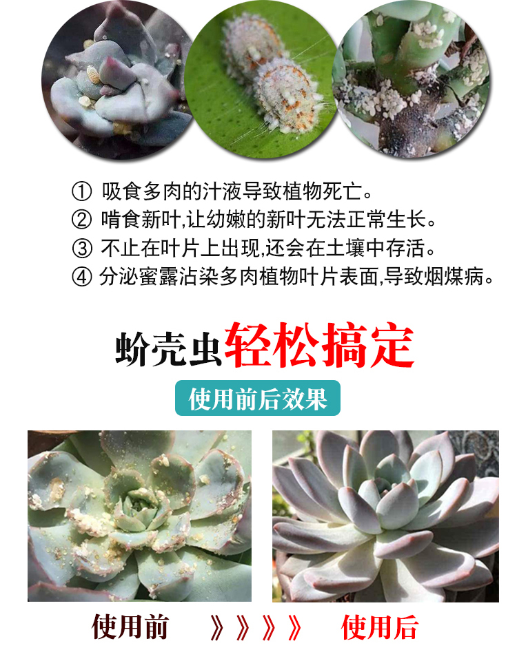 多肉杀虫剂介蚧壳虫专用药剂花卉植物通用小白虫药介壳虫蚧必治 100g