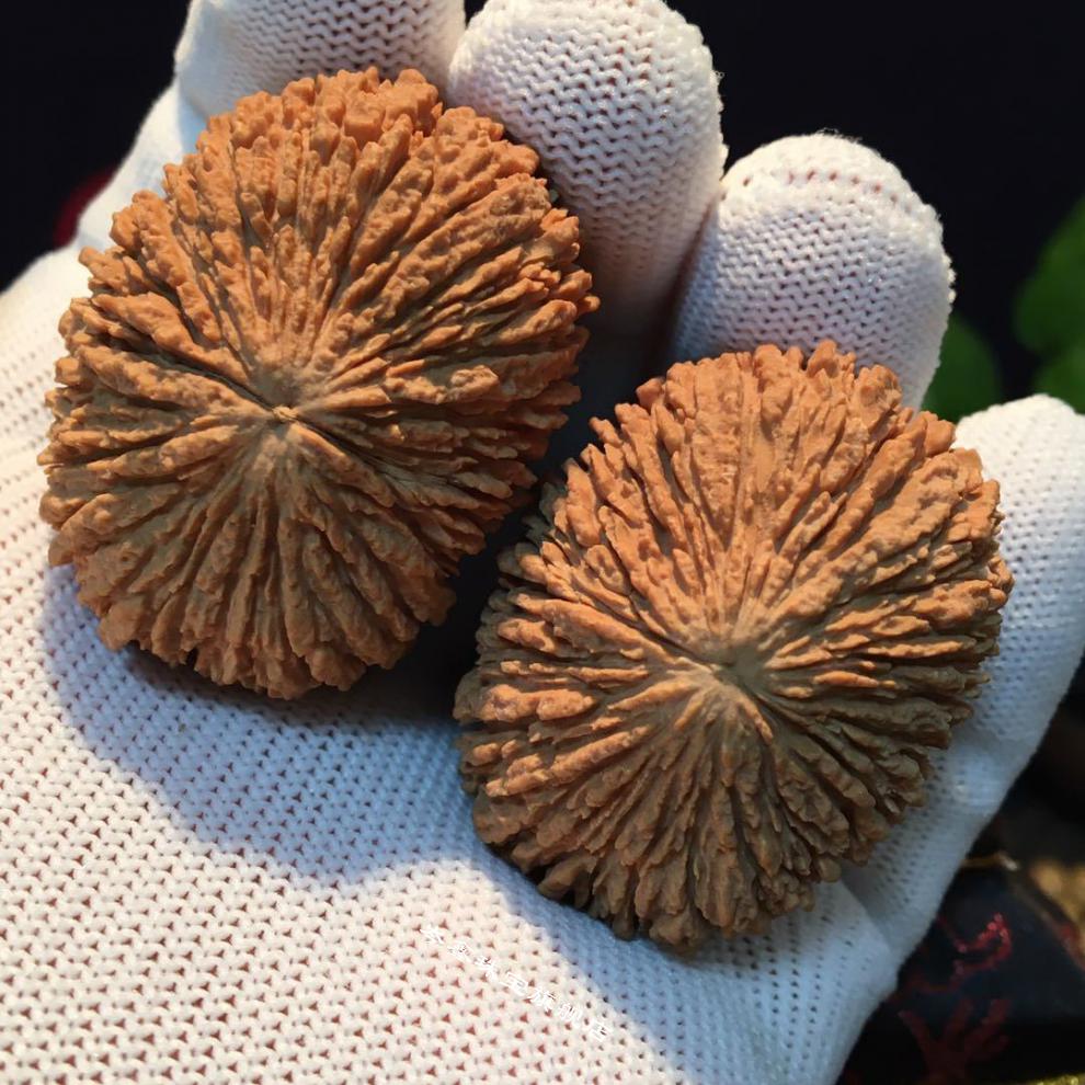 文玩超大猴头核桃手把件精品野生狮子头 红皮 猴头40mm一对【图片