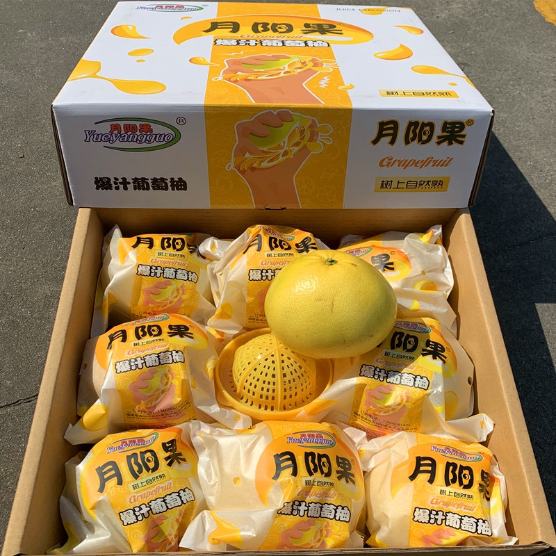 爆汁月阳果葡萄柚 应季新鲜水果 西柚 带箱10斤 原包装7-9颗/箱 8斤