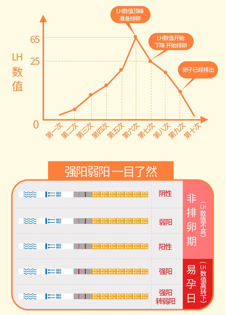 雅讯 排卵试纸(lh)测排卵试纸试条高精度测排卵期 检测试剂备孕