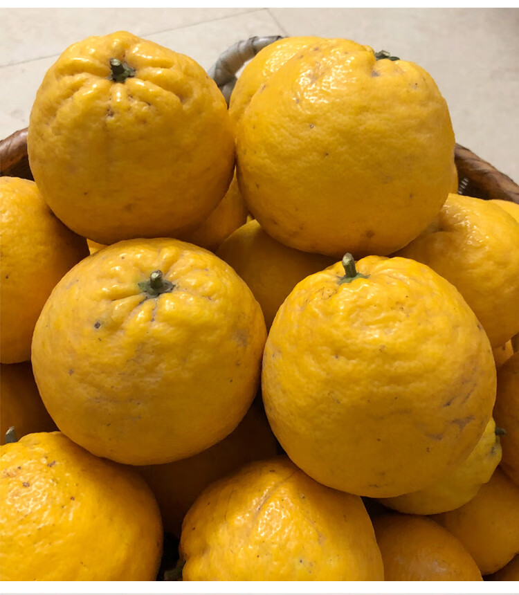 臭皮柑新鲜水果湖北抛柑超酸泡干酸柑子桔子黄皮泡甘5斤