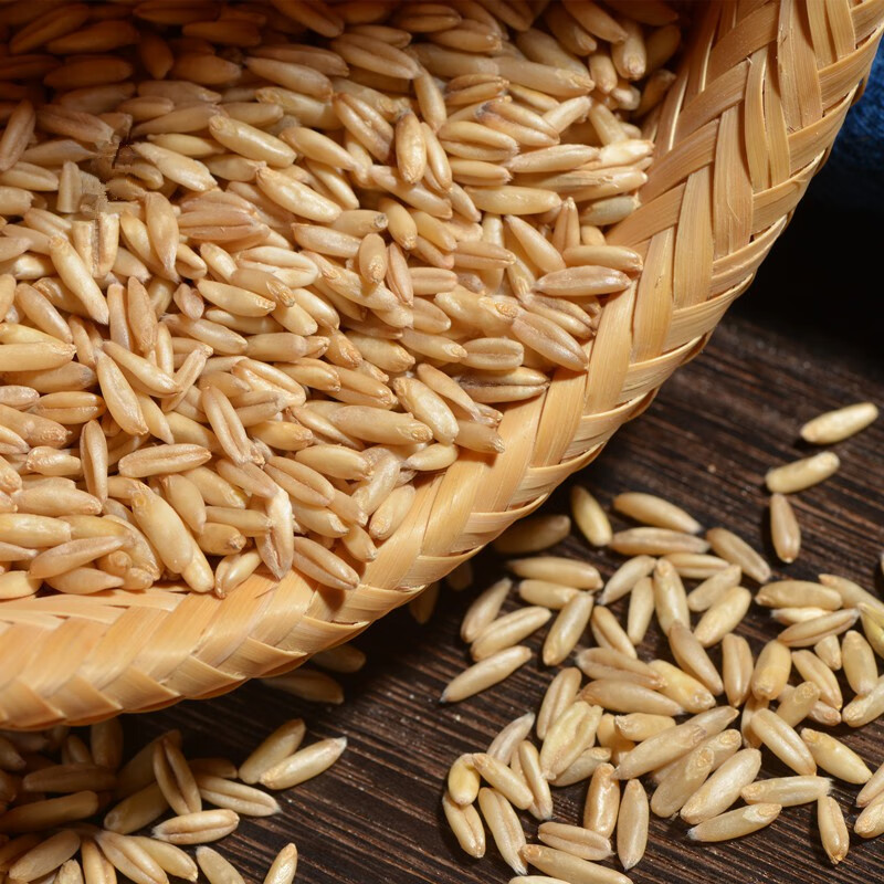 燕麦米新米五谷杂粮生裸燕麦仁米莜麦全胚芽内蒙古5斤