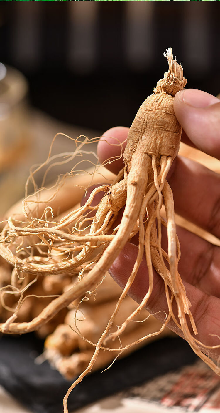 产地直销8年人参生晒参东北人参长白山野山参白参干人参泡酒25根左右