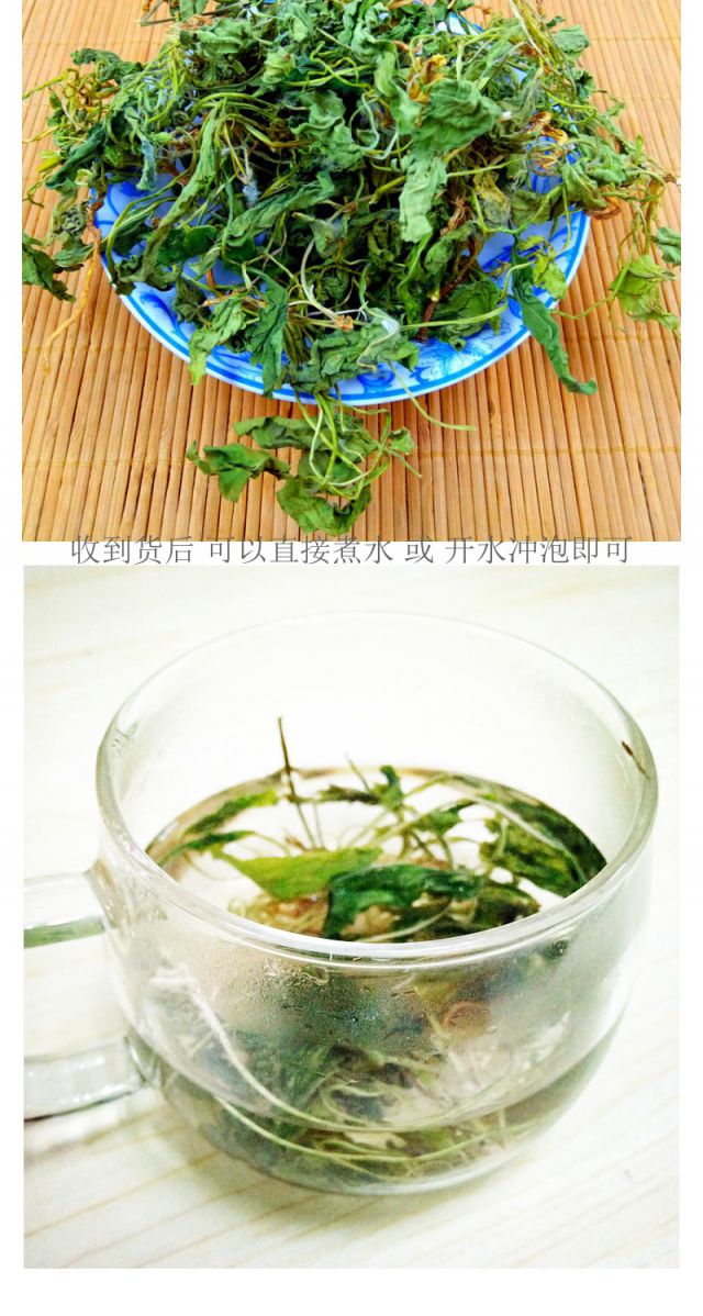 玉泉韵紫花地丁500克新鲜地丁草心叶堇菜犁头草茶苦地丁500克装伊梵麦