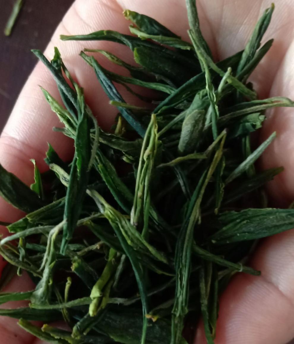 东莞新茶嫩茶wx