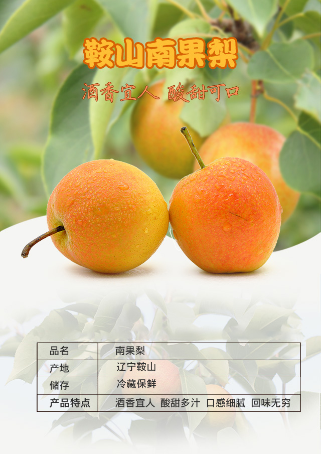 [庄河特产馆]鞍山南果梨南国梨金南果5斤东北特产秋梨子礼盒 5斤普果