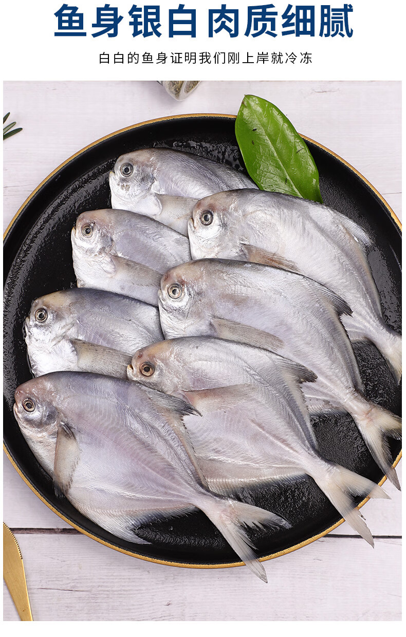 海头海州湾新鲜银鲳鱼野生海捕冷冻白鲳鱼大号平鱼海鲜水产5斤装35