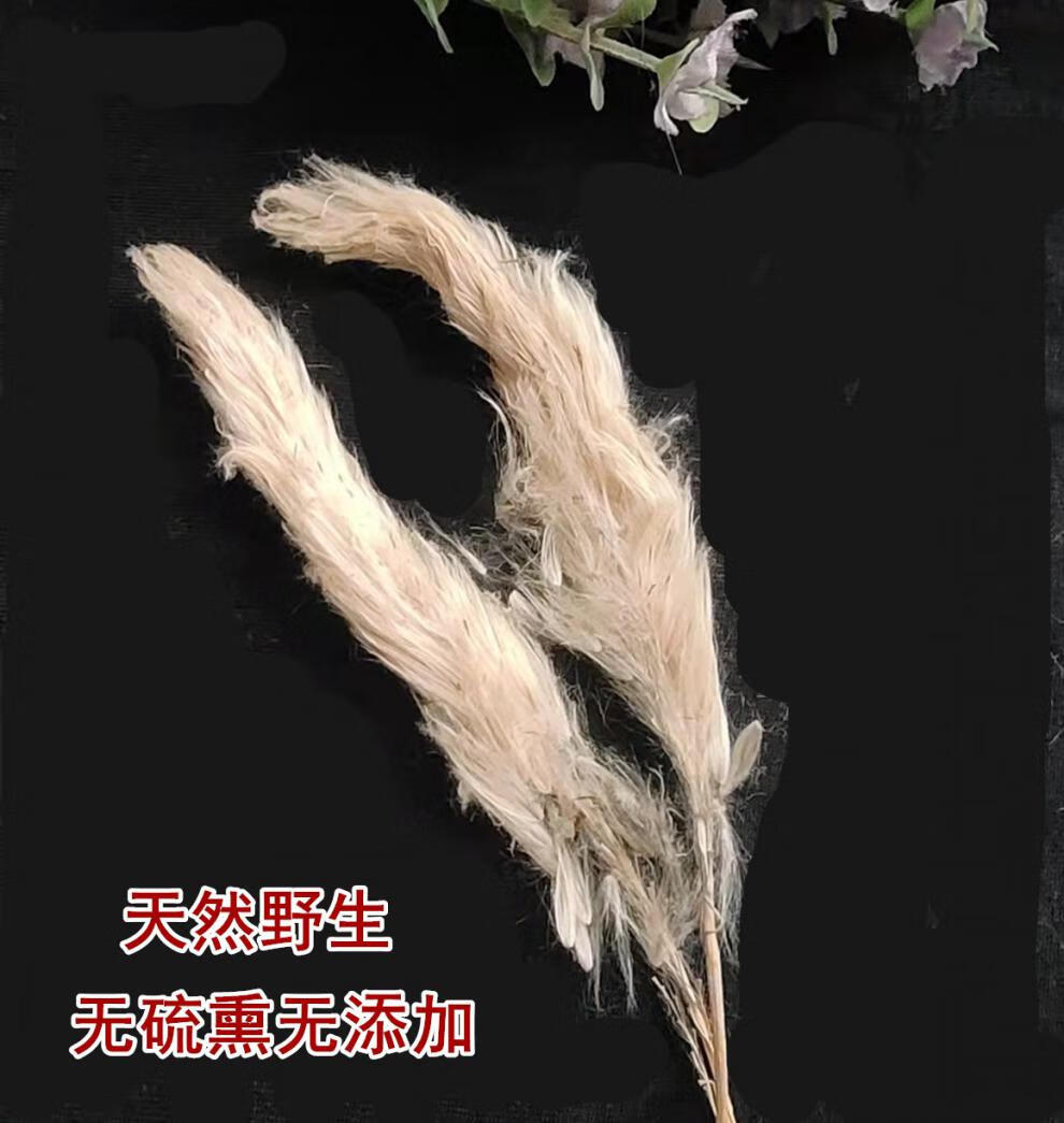 中药材 白茅花 白茅根草花 白毛花 500g 茅针花 茅草花 500克【图片