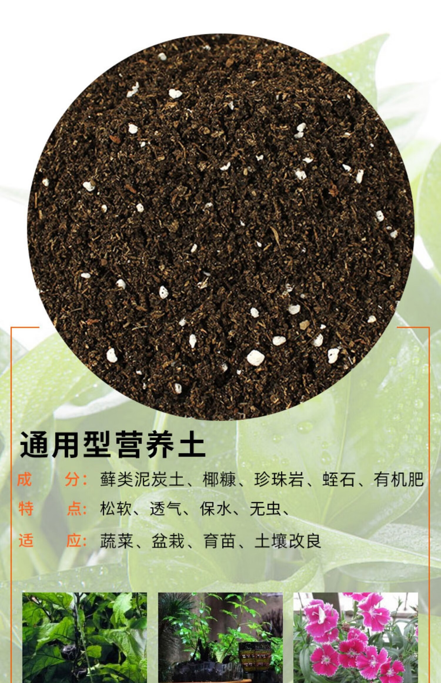 30斤营养土养花专用通用型大包种菜蔬菜土壤种植土有机草莓盆栽土江苏