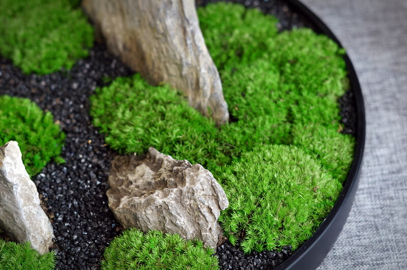 永生白发苔藓微景观新中式日式枯山水盆景售楼处办公桌茶桌面摆件