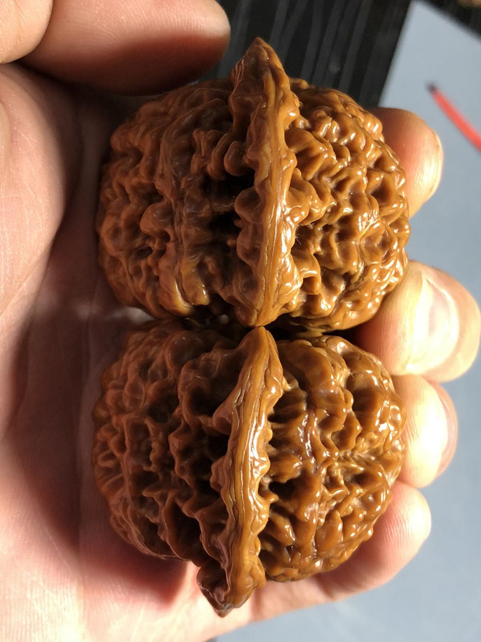 干刷包浆文玩核桃49mm麒麟纹王勇官帽手盘大核桃狮子头核桃核桃