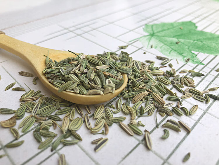 散装茴香种子莳萝种子小茴香大茴香小怀香香丝菜割茬茴香种子大茴香