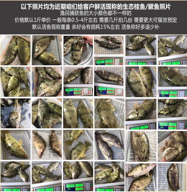 品鲜肴淡水鱼生态小桂鱼 鳜鱼 桂花鱼 鳌花鱼自然长现捕鲜活现杀 净膛前 1kg装 2 4条 份 图片价格品牌报价 京东