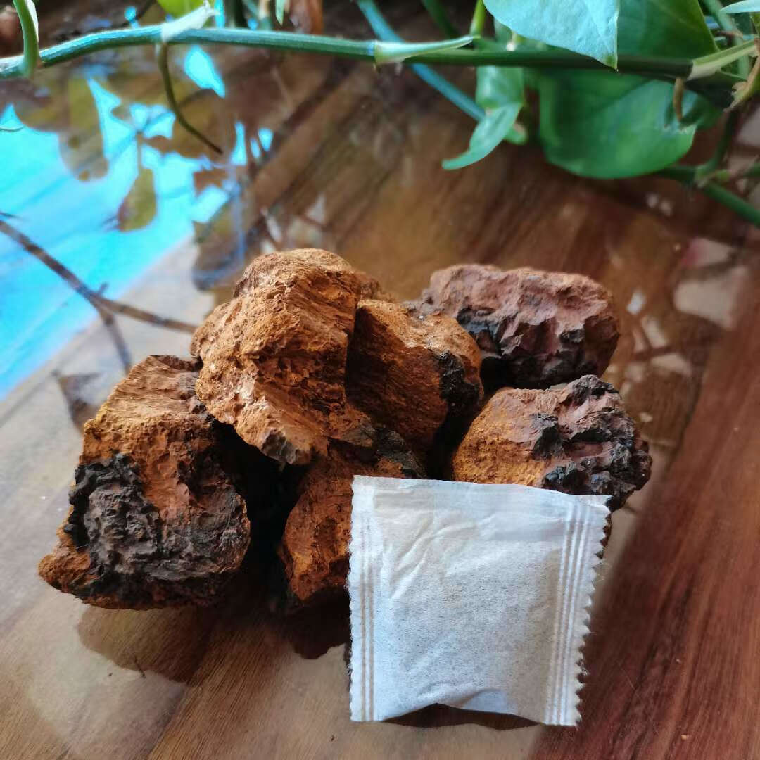 伟博俄罗斯桦树茸精粉包天然胰岛素血糖低温破壁除菌1盒20小包桦树茸