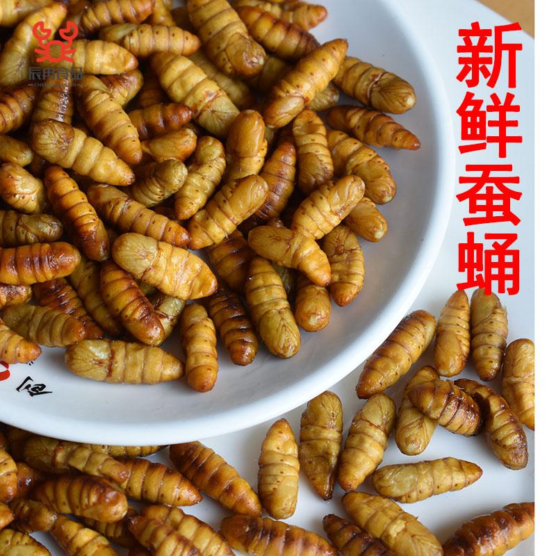 新鲜蚕蛹桑蚕蛹鲜活冷冻金丝蚕蛹食用昆虫4斤【图片 价格 品牌 报价】