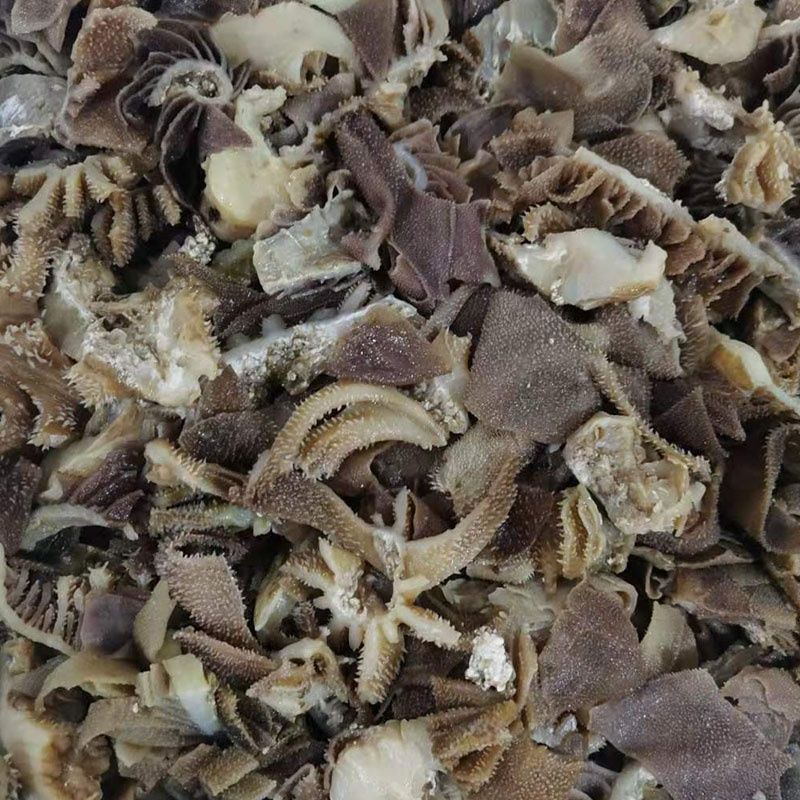 商用黑白毛肚肚头边角料5斤装新鲜牛百叶冒菜串串火锅食材牛肚杂毛肚