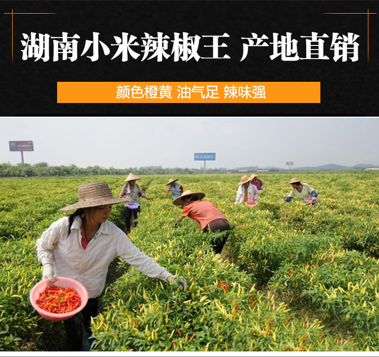 产地直销湖南超香特辣小米椒辣椒王黄辣椒干辣椒粉魔鬼巨辣野山椒黄辣