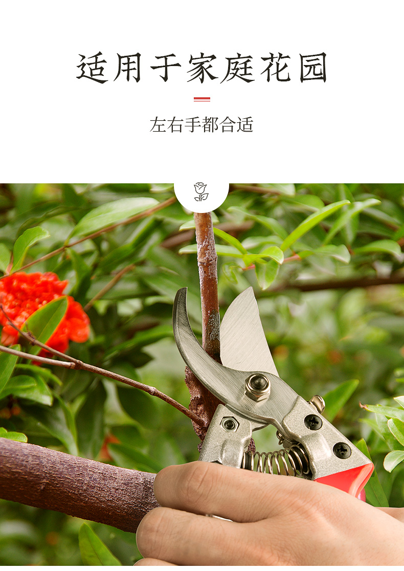 树剪剪枝剪刀sk5修枝剪树枝修剪果树花剪园林工具剪子园艺剪刀合金柄