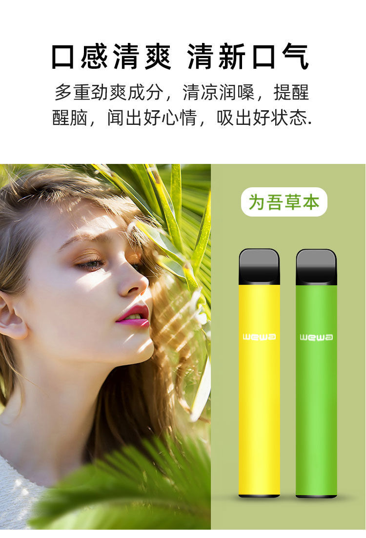 京选推荐雾棒电子雾化吸入式水果味枇杷雾化草本液网红款1600口2支