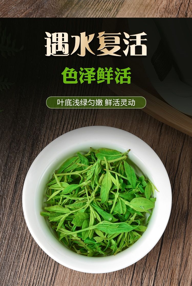 小叶苦丁茶新货正宗精选小叶苦丁茶叶青山绿水嫩芽苦丁茶花草茶灌装