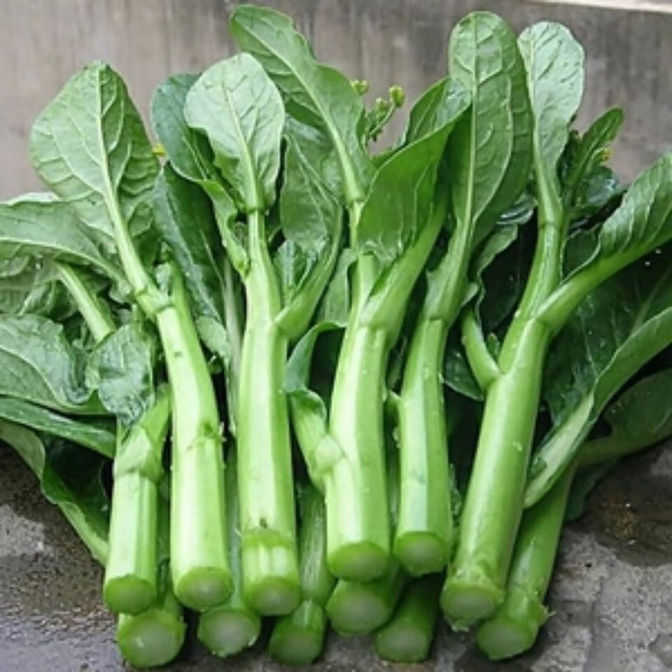 新鲜蔬菜广东菜心菜苔新鲜蔬菜3斤装3斤