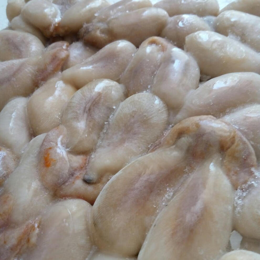 宁波海鲜大墨鱼蛋4斤 乌贼卵全淡乌鱼蛋新鲜乌贼目鱼蛋大白蛋【图片