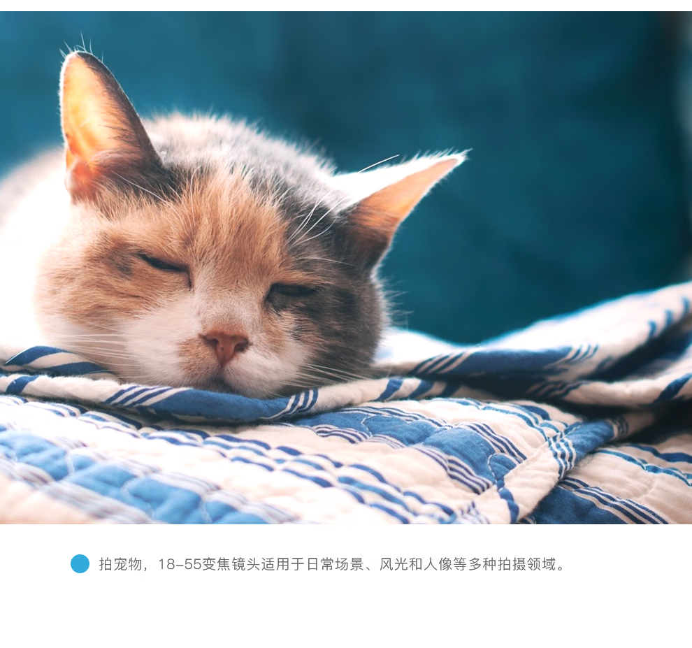 8f3f2b7562e9c962.png