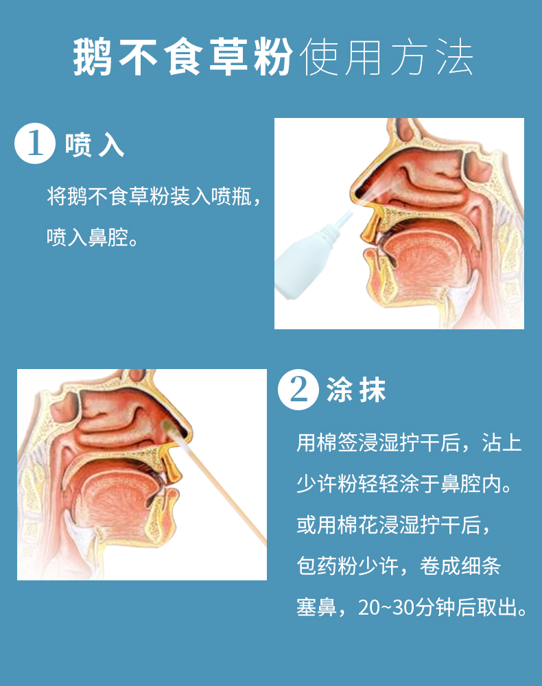 严选好物鹅不食草粉末新鲜鹅不食粉晒干膏滴鼻液