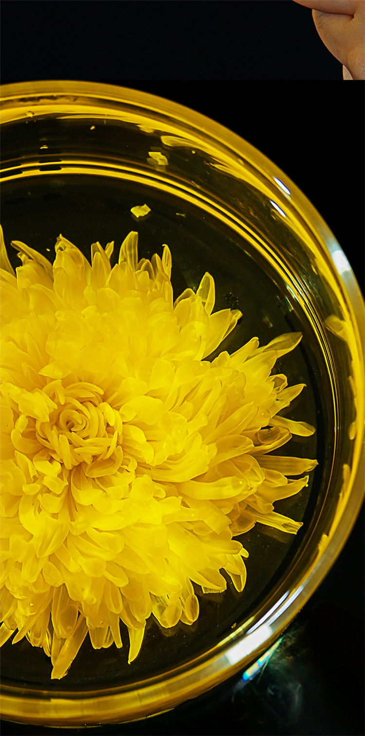 5折 大朵花 金丝皇菊特级一杯一朵大朵菊花茶金丝黄菊大皇菊礼盒装 a7