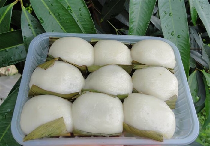 叶儿粑叶子 四川宜宾猪儿粑叶子新鲜叶儿粑叶叶材料做鸭儿粑叶叶良姜