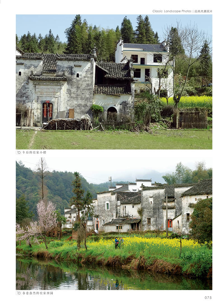 水粉/水彩/速写/素描风景写生江南水乡城市建筑街道田野场景素材图片