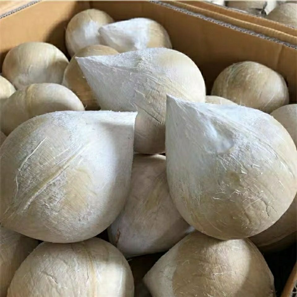 美蒙泰国进口奶椰小椰皇新鲜当季水果椰青椰汁香水椰子 4个椰皇单果