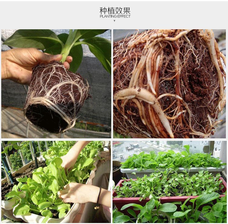 隆鼎椰砖批发种菜营养土通用种花养花椰糠砖椰土养龟爬宠多肉专用土壤