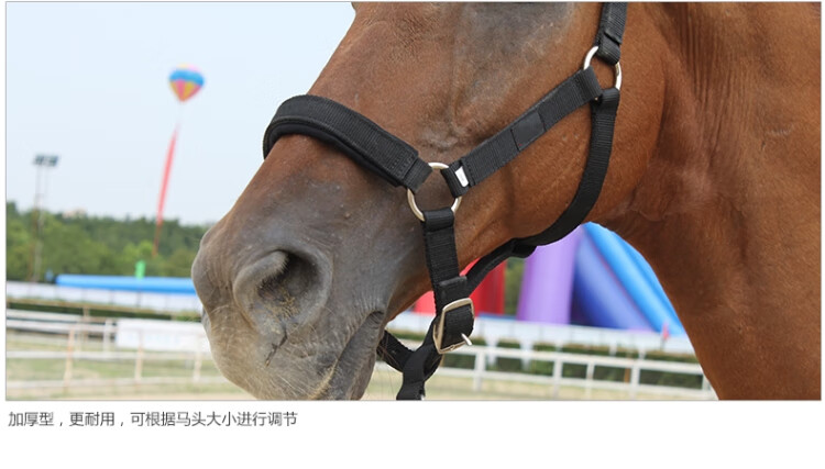 马笼头全套可调马具纺织马龙头套防磨牵马手工马缰绳子马的用品蓝色加