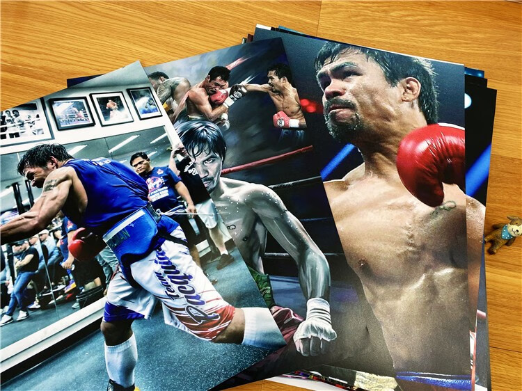 风琳静 梅威瑟海报拳击馆格斗搏击武馆健身房武术ufc相框装饰挂画墙