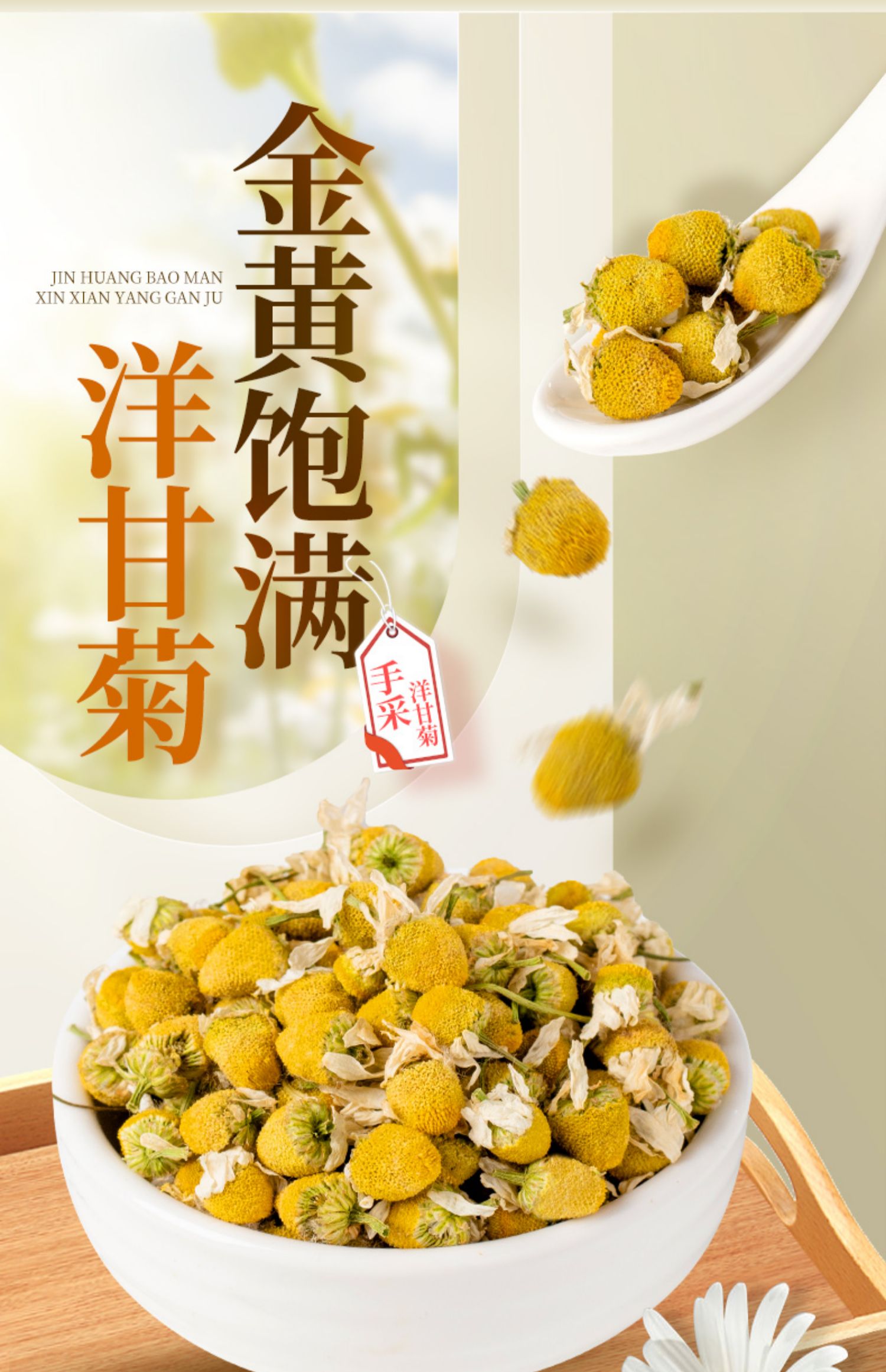 洋甘菊花茶德国洋甘菊花茶正宗西洋甘菊2022新花罗马洋甘菊花葛森德国