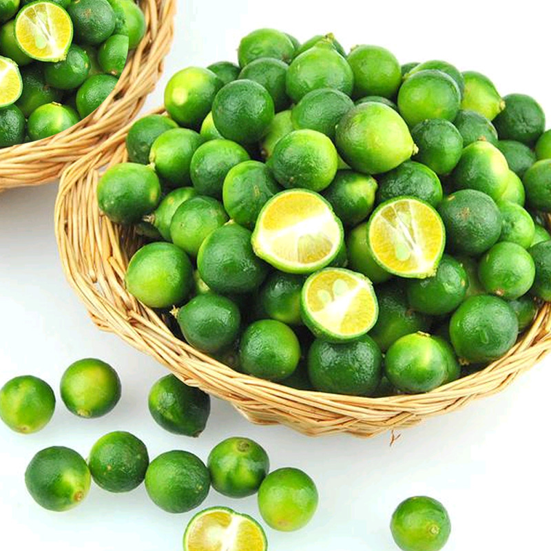 悠妃海南青金桔 青金桔新鲜 青橘 青桔 小金桔 金桔水果 酸柑 5斤