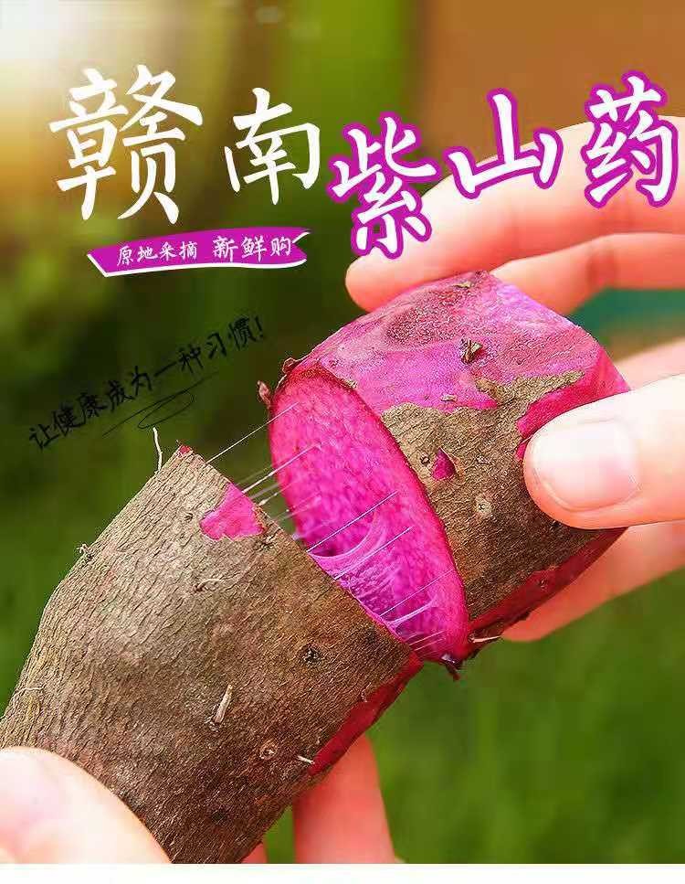 2021脚板薯三百山当季新鲜农家紫山药紫玉淮山毛薯现挖白脚板薯 5斤紫