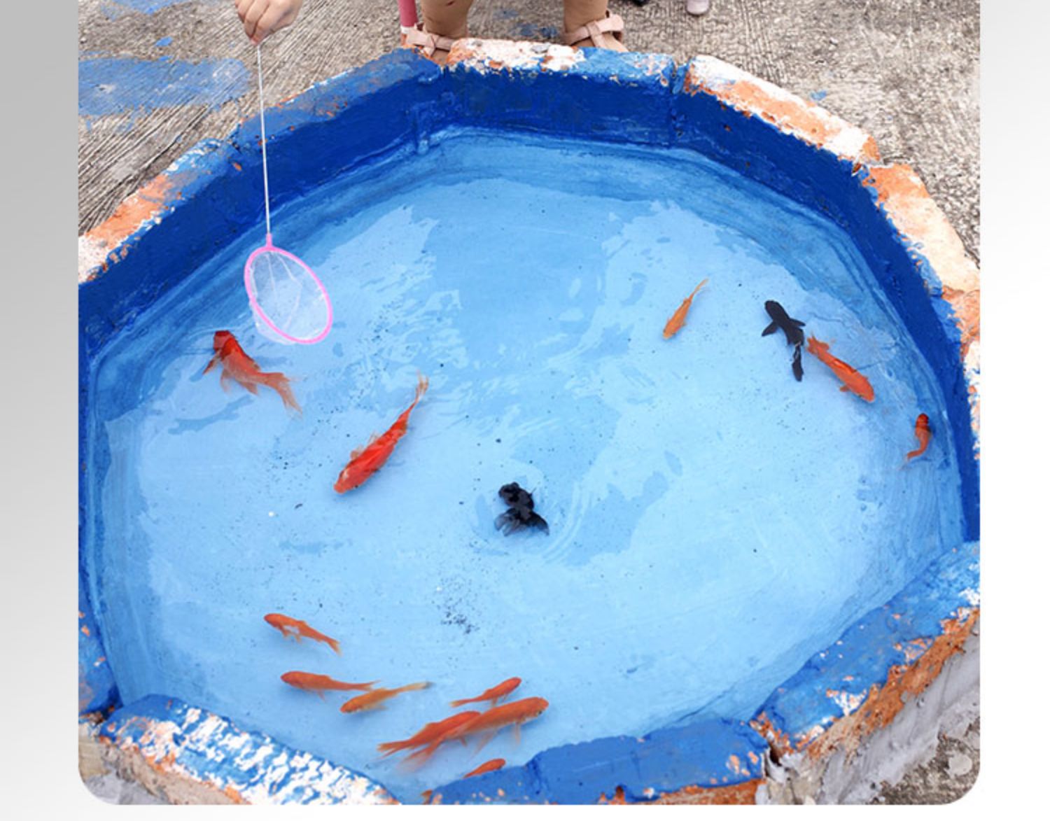 鹿班防水涂料房顶屋顶防水补漏涂料鱼池楼顶外墙水泥地面裂缝漏水修补